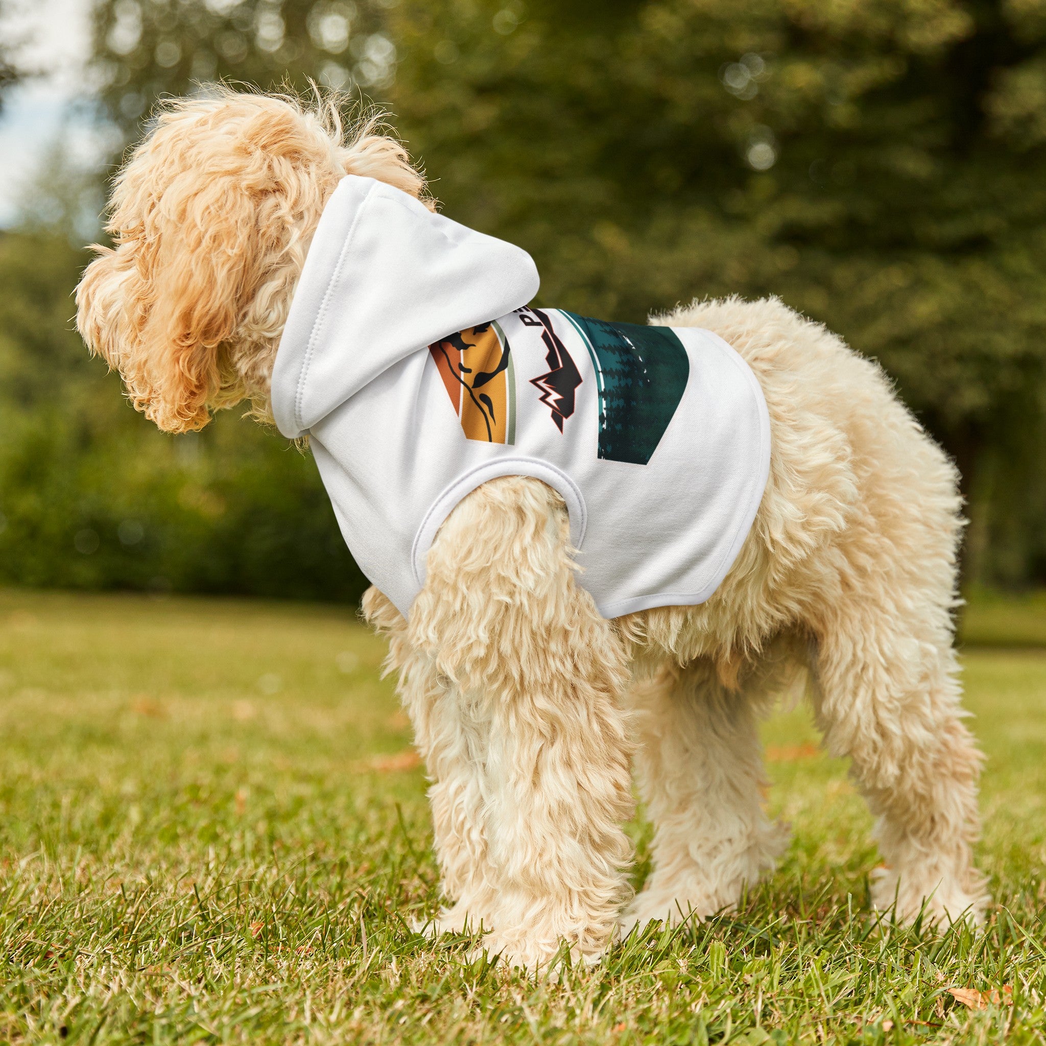 Pet Hoodie Diamond Mountain