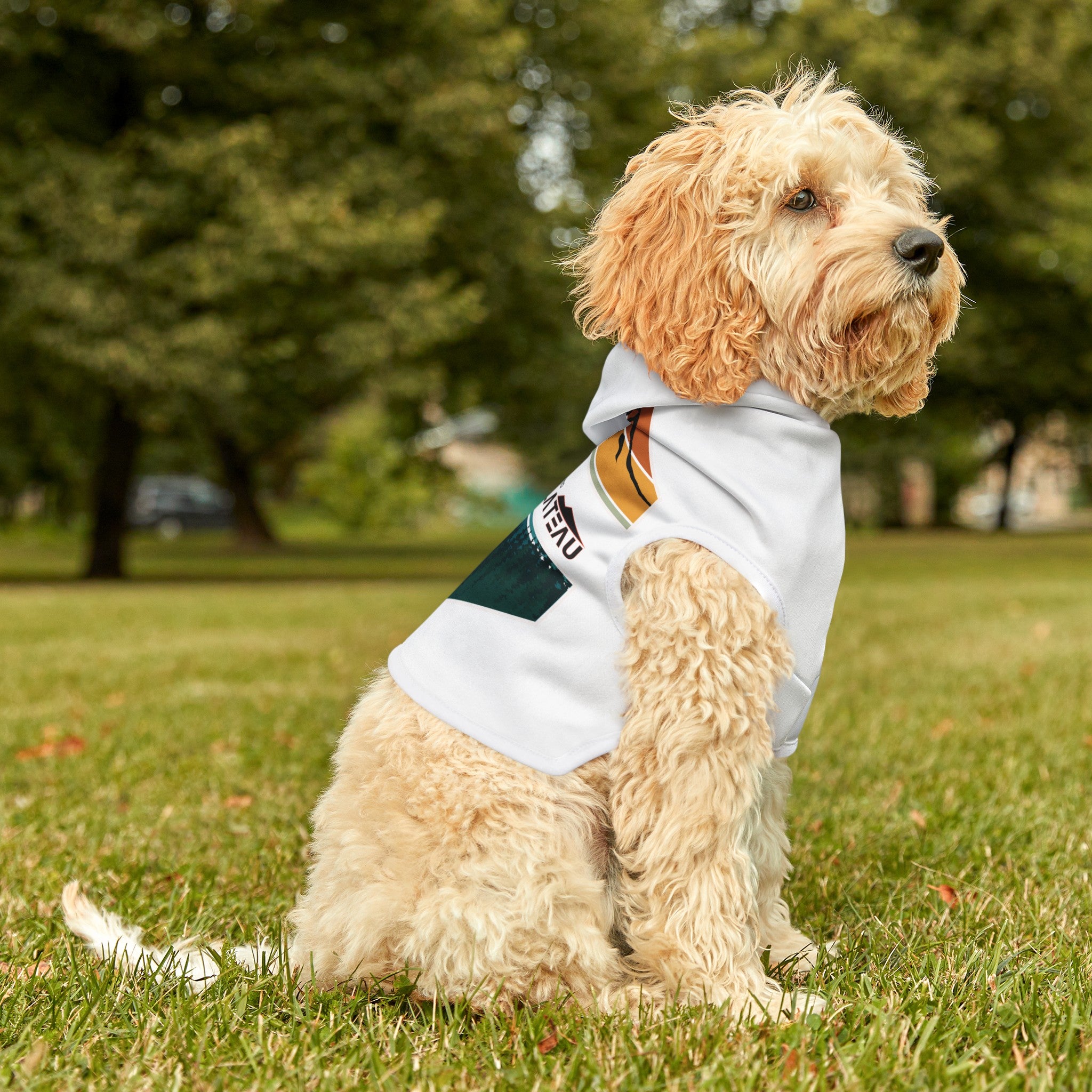 Pet Hoodie Diamond Mountain