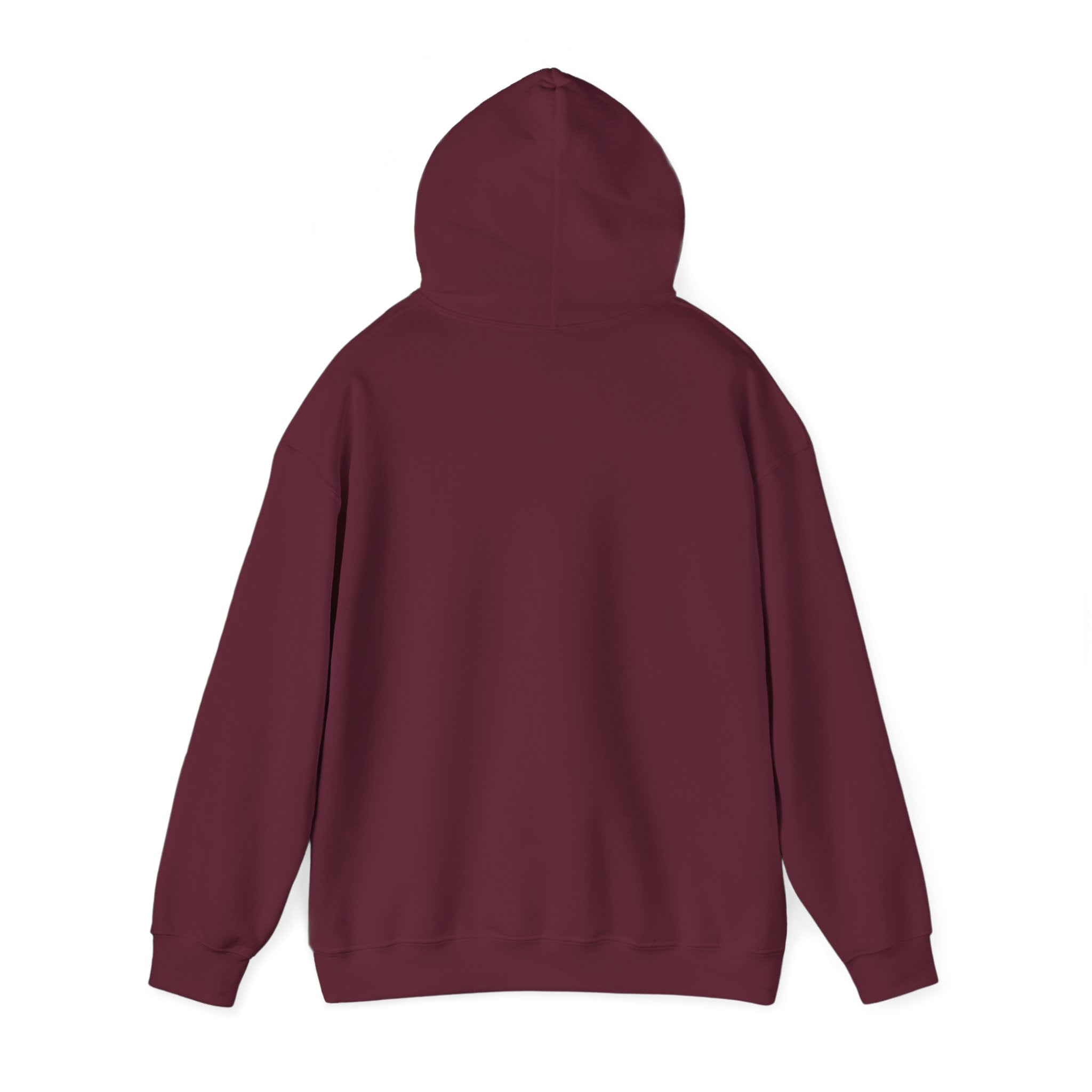 Sunset Lake Hooded Sweatshirt